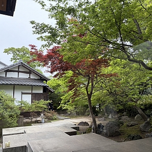 おススメのお店 5選